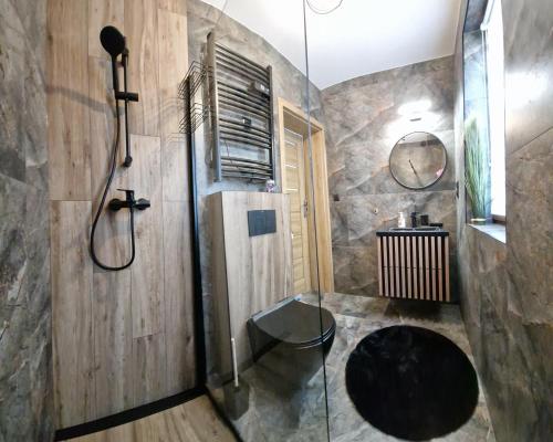 a bathroom with a shower with a toilet and a sink at Domki 4 pory roku in Koniaków