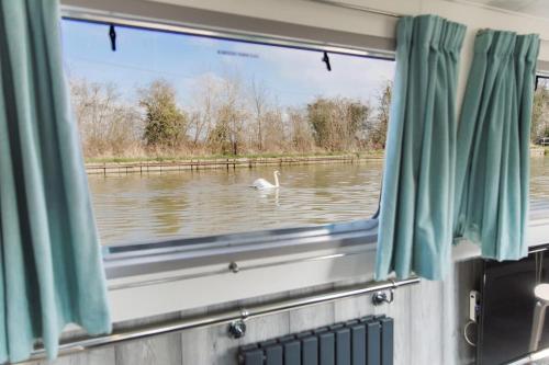 una ventana de un barco con un pájaro en el agua en The Jubilee Narrow Boat en Loughborough