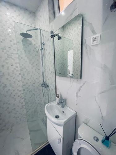 a bathroom with a shower and a toilet and a sink at Vini Apartments in Zagrađe
