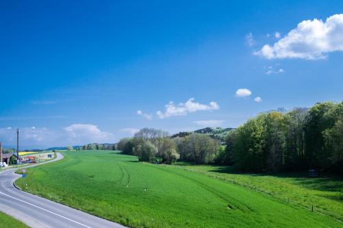 a green field next to a road with trees at Motel-Résidence Ô Pied à Terre in Montilliez