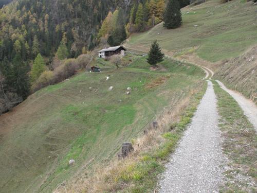 a dirt road on a hill with a house on it at Mayen de Planraveire in Orsières