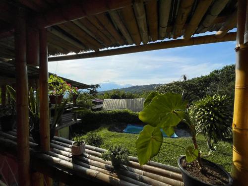 Blick auf den Garten aus dem Fenster eines Hauses in der Unterkunft Vista hermosa in Anserma