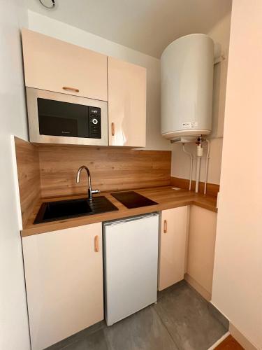 uma pequena cozinha com um lavatório e um micro-ondas em Studio 2 pers face gare SNCF Appart Hotel le Cygne D2 em Bourges