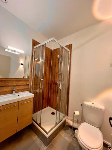 une salle de bain avec une douche, des toilettes et un lavabo dans l'établissement Studio 2 pers face gare SNCF Appart Hotel le Cygne D2, à Bourges