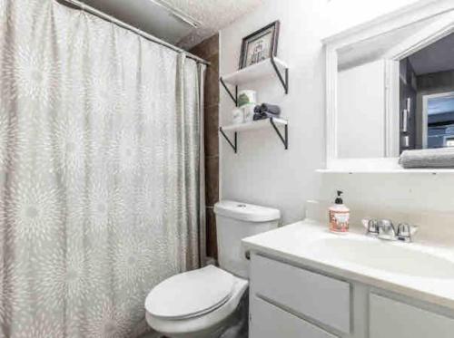 a bathroom with a toilet and a sink and a shower at Affordable Apartment with Balcony in Dallas