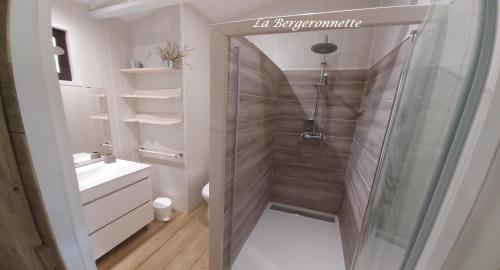 een badkamer met een douche, een toilet en een wastafel bij La Bergeronnette in Queyrac