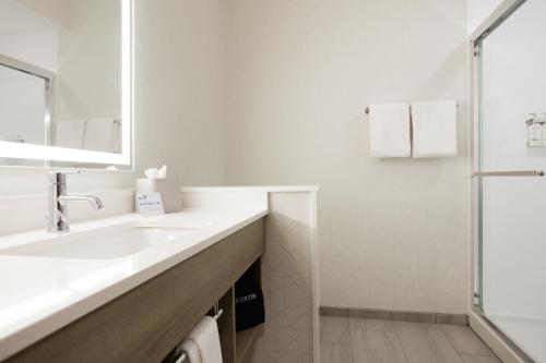 a white bathroom with a sink and a shower at Holiday Inn Express & Suites Port Washington by IHG in Port Washington