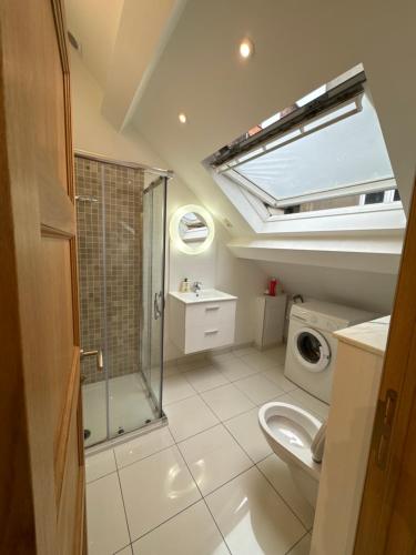 a bathroom with a shower and a toilet and a window at Magnifique logement à Etterbeek in Brussels