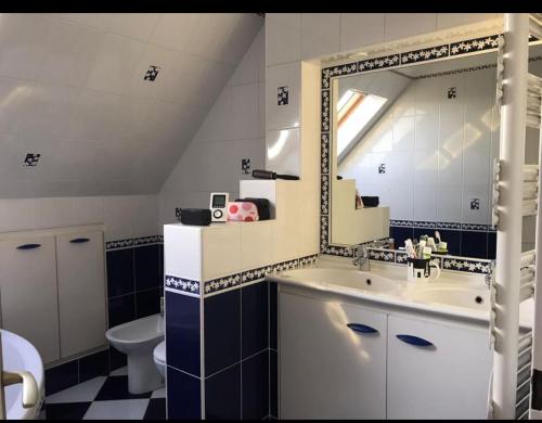 uma casa de banho com um lavatório, um espelho e um WC. em Le Rosiers em Poissy