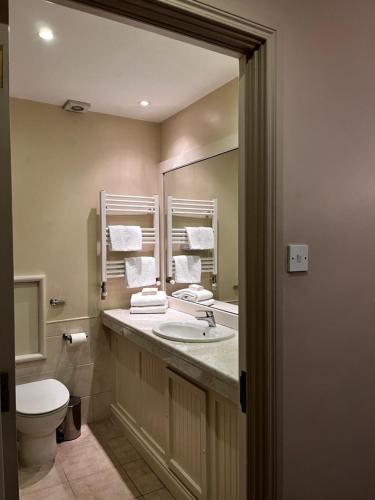 ein Badezimmer mit einem Waschbecken, einem WC und einem Spiegel in der Unterkunft The Lough & Quay Guest Accommodation in Warrenpoint