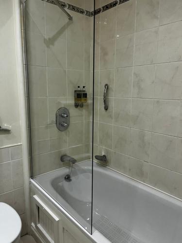 a bathroom with a shower with a tub and a toilet at The Lough & Quay Accommodation in Warrenpoint