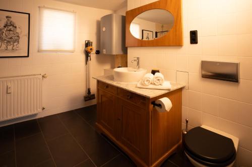 a bathroom with a sink and a toilet and a mirror at Ferienwohnung Landscapeapartment, 46qm Individual Fewo mit Fernblick ins Zittauer Gebirge, Ferienapartment im historischen Altstadtkern Zittau in Zittau