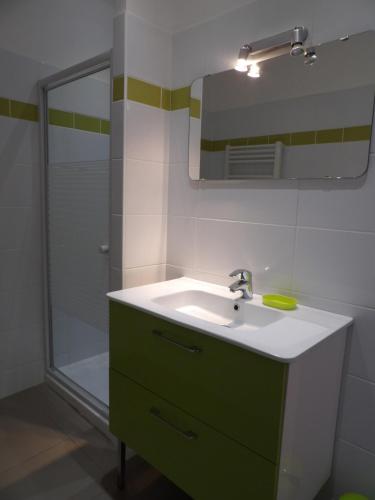 une salle de bain avec un lavabo et une douche dans l'établissement Spacieuse villa a St Cyprien pour 15, à Saint-Cyprien