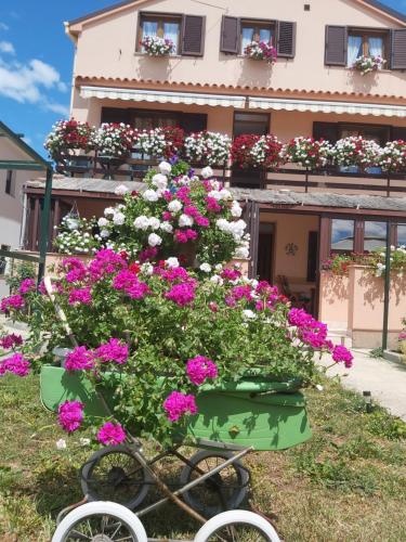 Two bedroom apartment Nela