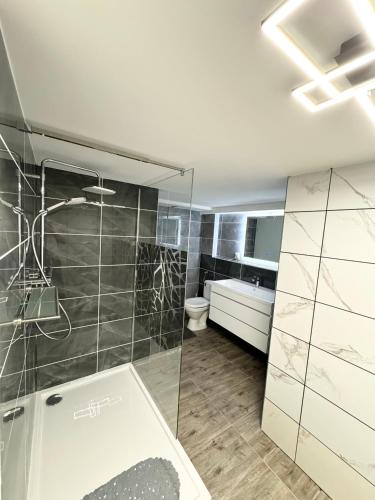 a bathroom with a shower and a toilet at Familie Moisil in Daun