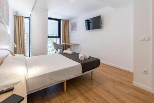 Luxury Duplex Valencia