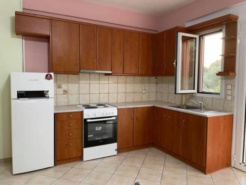 Una cocina o zona de cocina en Spacious Quiet Apartment for Relaxed Holidays (1)