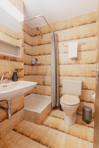 a bathroom with a toilet and a sink and a shower at Chaleureux studio proche des pistes de ski in Nendaz