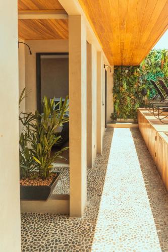 a corridor of a house with plants at Marilyn Pousada Morro in Morro de São Paulo