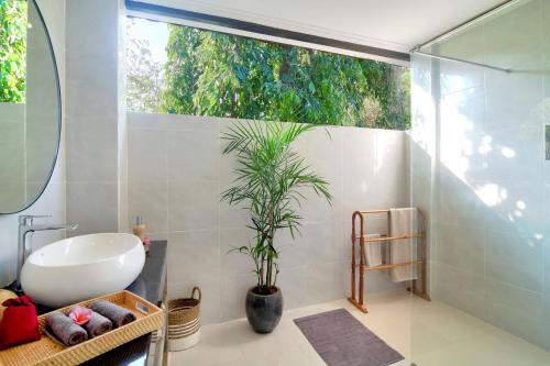 a bathroom with a sink and a potted plant at Selasih Beach House in Seminyak