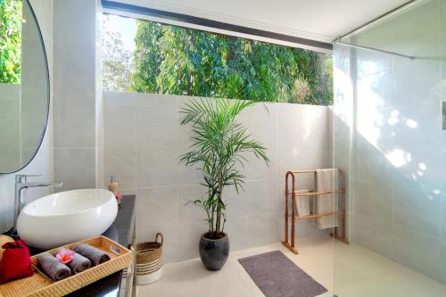 Un baño con un lavabo y una planta en maceta. en Selasih Beach House, en Seminyak