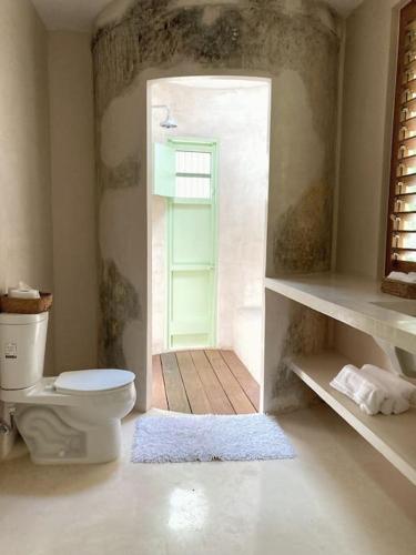 a bathroom with a toilet and a green door at Hermosa Casa Antigua con Piscina Tropical in Mérida