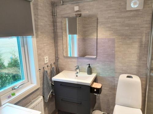 a bathroom with a sink and a mirror and a toilet at Nice little cottage in picturesque Tonnersa beach village, near Halmstad in Eldsberga