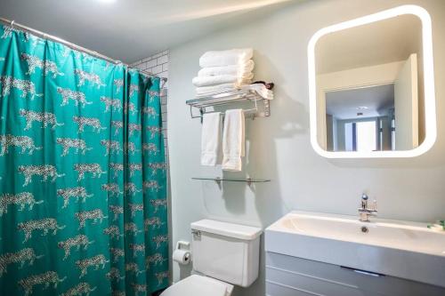 a bathroom with a shower curtain and a toilet and a sink at Luxury Downtown Penthouse with Private Rooftop in Chicago