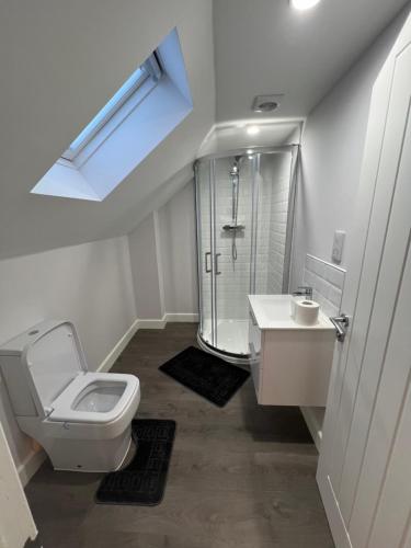 ein Bad mit einem WC, einer Dusche und einem Waschbecken in der Unterkunft Beautiful Shared One Bed Flat (Room/Front) in Strood