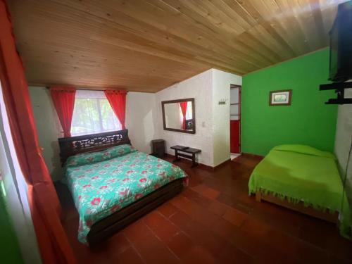 a bedroom with a bed in a room with green walls at Finca Hotel Spa Zhay in Guateque