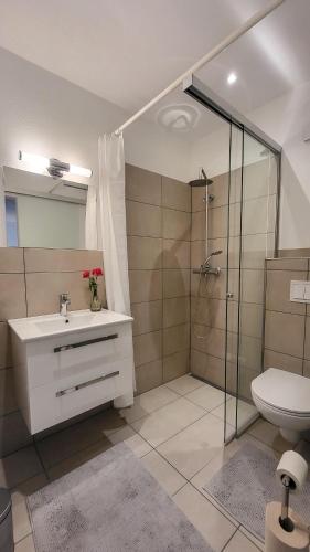 a bathroom with a shower and a sink and a toilet at Apartment Vordermitterast in Kirchberg in Tirol