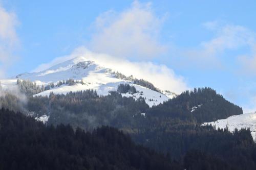a snow covered mountain with trees in the foreground at Apartment Vordermitterast in Kirchberg in Tirol