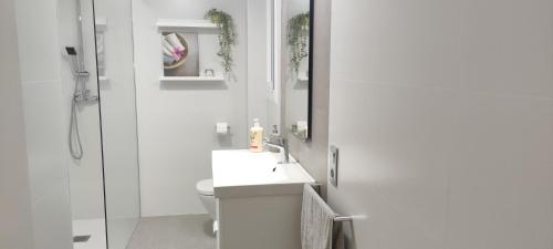ベルガにあるApartamento CANYETのバスルーム(洗面台、トイレ、鏡付)