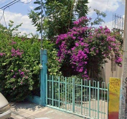 a blue gate with pink flowers behind a fence at POSADA HORTENCIA in Aguascalientes