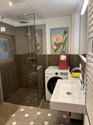 a bathroom with a shower and a washing machine at Oggau Cottage in Oggau