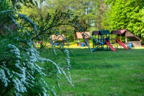 un parque con parque infantil y un parque de juegos con un árbol en Bogolvar Retreat Resort, en Antalovtsi