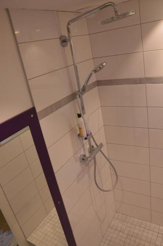 une douche avec pommeau de douche dans une salle de bain dans l'établissement Le Coin des Cygnes, appartement face au lac d'Annecy avec plage privée, à Doussard
