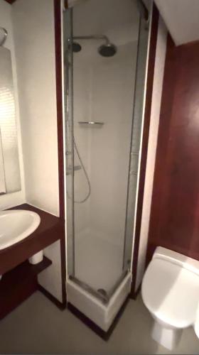 une salle de bain avec une douche, des toilettes et un lavabo dans l'établissement Bateau Le Phénicien, à Aigues-Mortes
