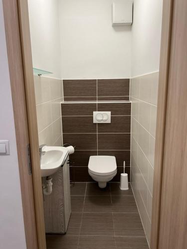 a small bathroom with a toilet and a sink at Lux Cordia Apartment with free parking in Budapest
