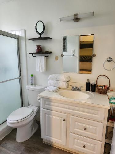 a bathroom with a toilet and a sink and a mirror at Cozy Private Room & Bath Central Location LA in Los Angeles