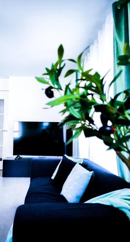 un salon avec un canapé et une plante dans l'établissement L'instant aixois T3 situé à Aix La Duranne, à Aix-en-Provence