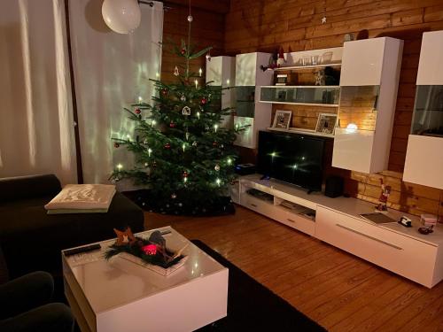 a living room with a christmas tree and a television at Blockhaus FerienZauber II in Bromskirchen