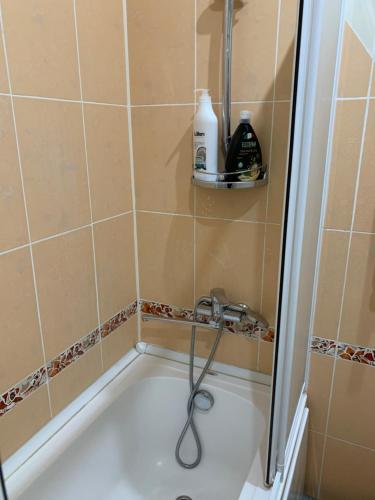 a shower with a hose in a bathroom at Bedroom + Living Large Apartment 75m2 in Chişinău