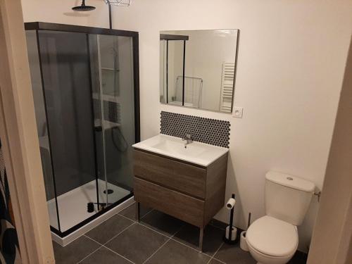 een badkamer met een toilet, een wastafel en een douche bij Mulots et Bulots in Saint-Hilaire-Petitville
