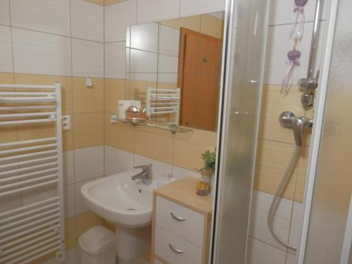 a bathroom with a sink and a toilet and a mirror at Apartment Peter in Donovaly
