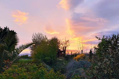 un coucher de soleil sur un jardin avec des arbres et des buissons dans l'établissement Gîte de la Plaine, à Chanas
