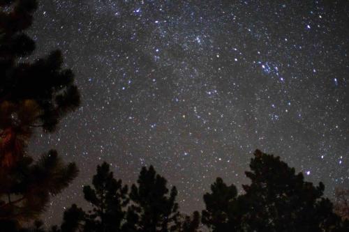a star filled night sky with trees in the foreground at Modern Airstream with amazing view - 10 to 15 minutes from Kings Canyon National Park in Dunlap