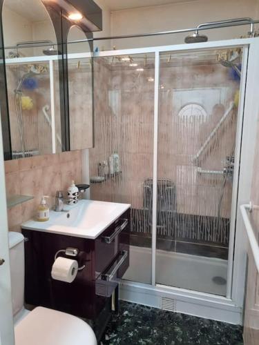 une salle de bain avec une douche, un lavabo et des toilettes dans l'établissement Maison au bord de Marne, à Maisons-Alfort