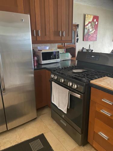 a kitchen with a stove and a stainless steel refrigerator at Top of the Hill Blue Sunshine in Long Swamp