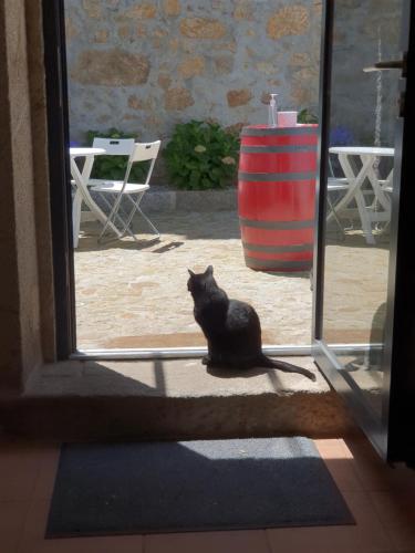 a black cat sitting in front of an open door at Alvorada Medieval, AL in Valença